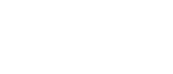 steward family foundation